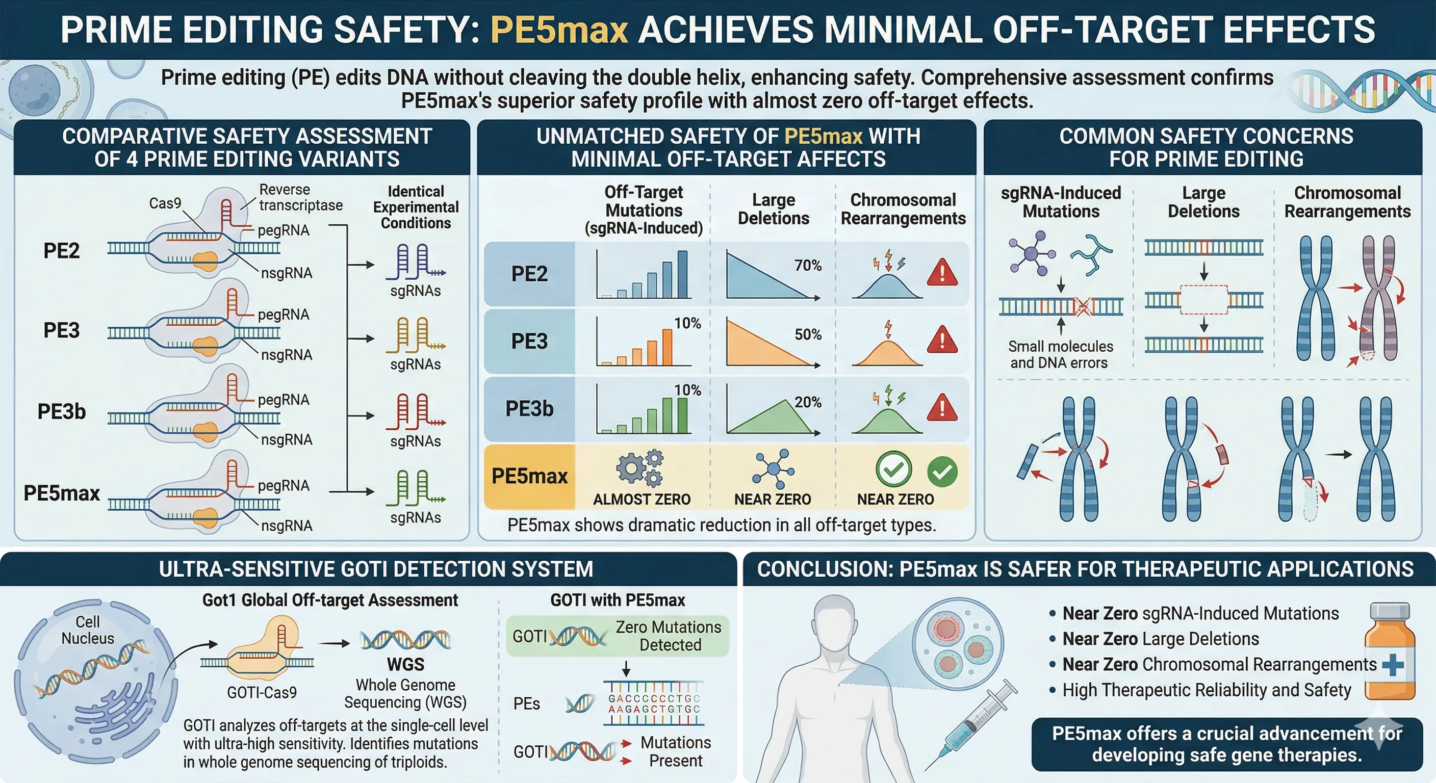 PE5max, Minimal Off-Target Effects in Prime Editing