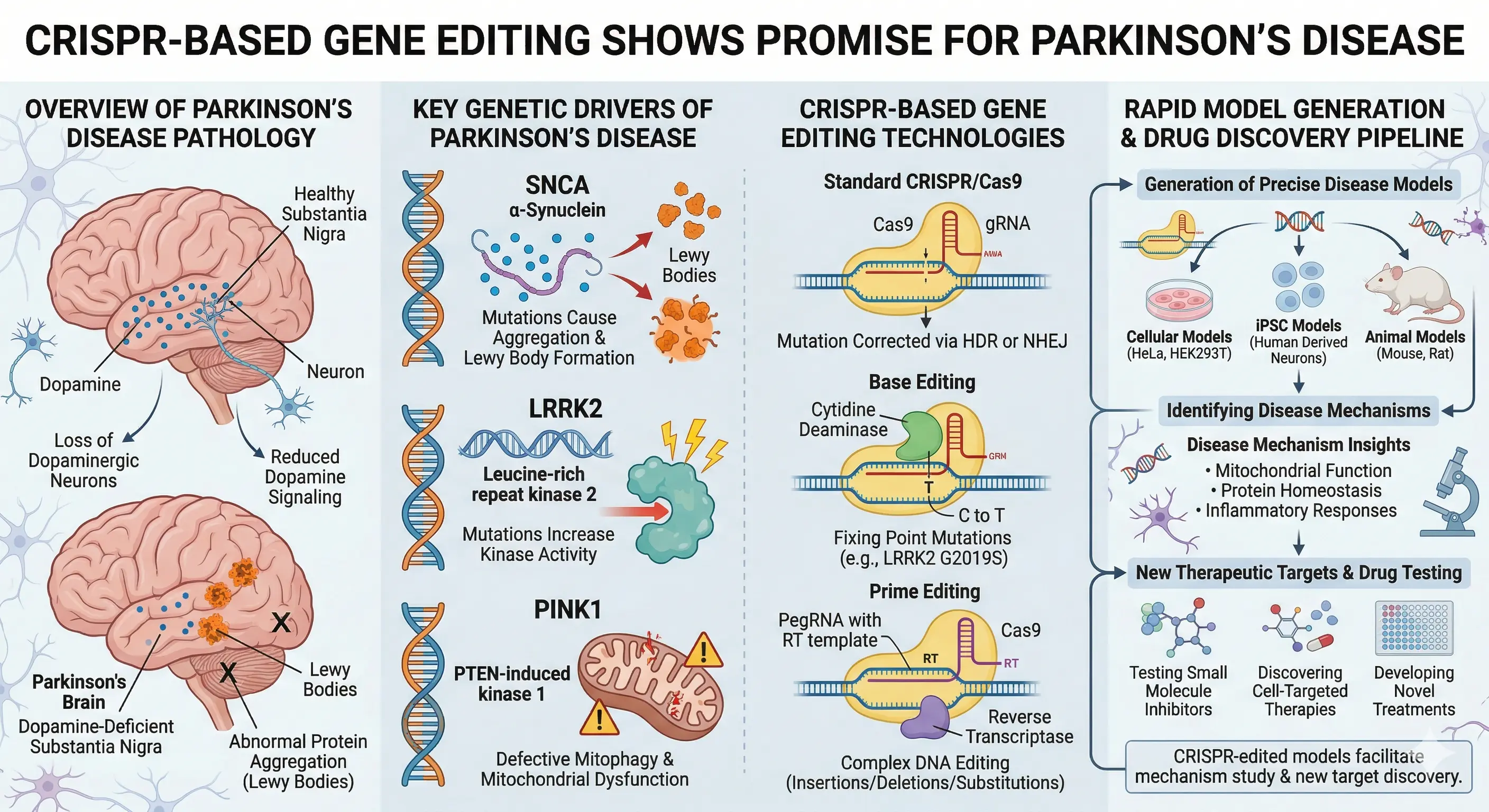 Potential for Parkinson's Gene Correction Highlighted Using CRISPR