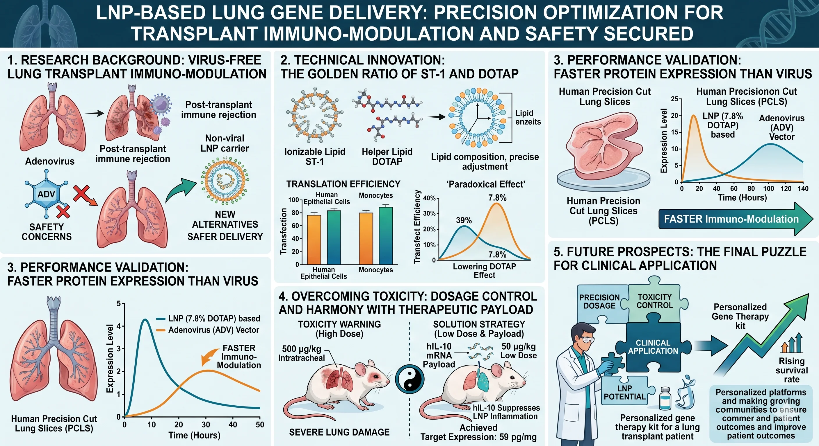 LNP-based Pulmonary Gene Delivery: Precise Optimization and Safety Assurance for Transplant Immunomodulation
